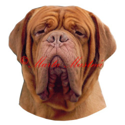 Samolepka bordeauxská dogaarchiv