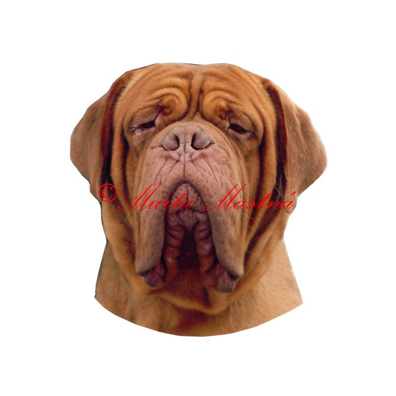 Samolepka bordeauxská dogaarchiv