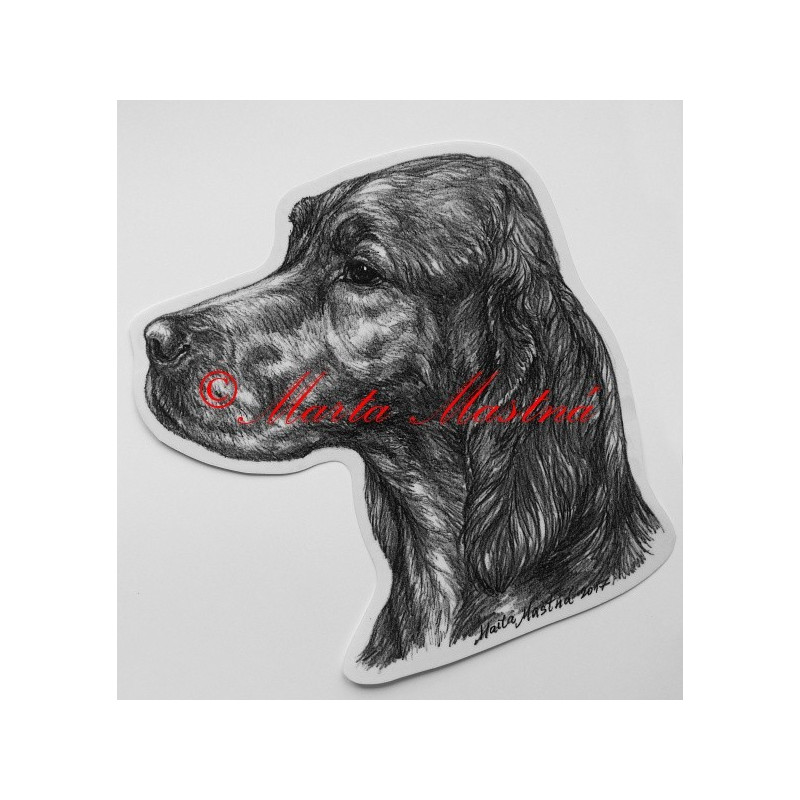 Samolepka setr irský