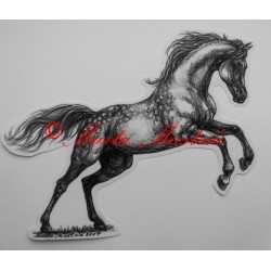 Samolepka arabský plnokrevník, kůň, koně