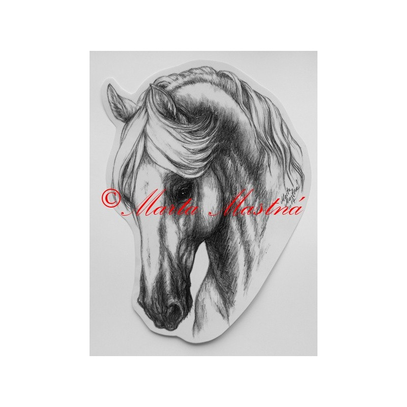 Samolepka kůň kladrubský, koně