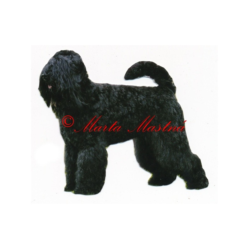 Samolepka černý ruský teriér