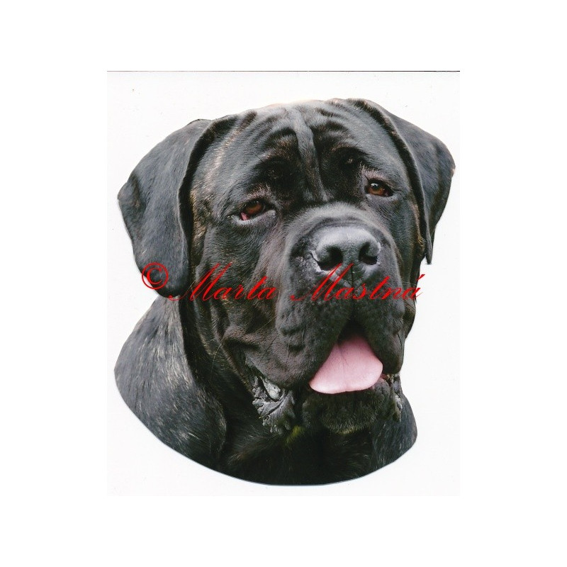 Samolepka cane corso