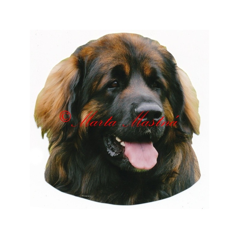 Samolepka leonberger