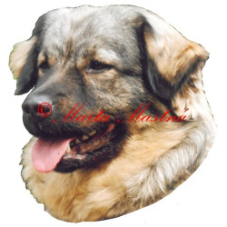 Samolepka krašský ovčák, pastevecký