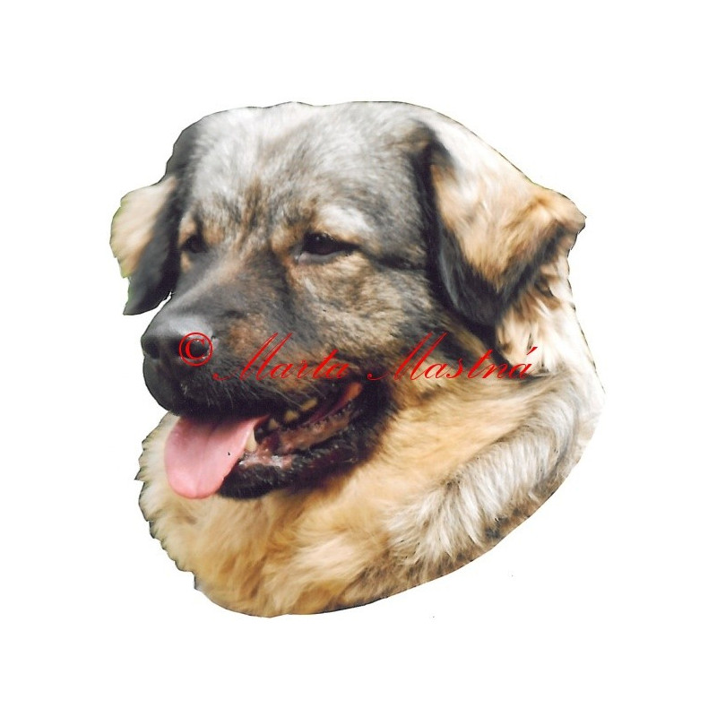 Samolepka krašský ovčák, pastevecký