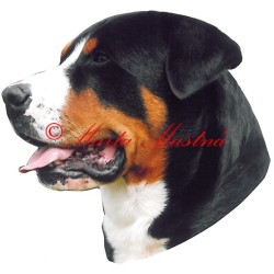 Samolepka velký švýcarský salašnický pes