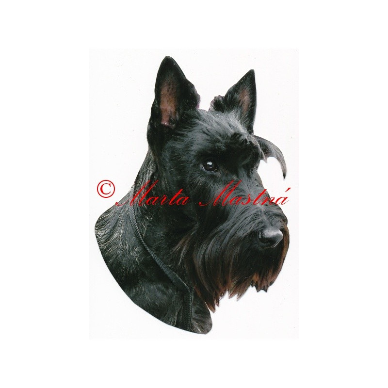 Samolepka skotský teriér