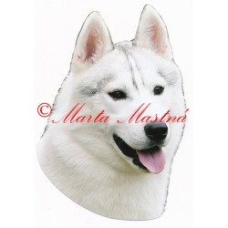 Samolepka sibiřský husky