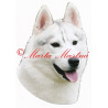 Samolepka sibiřský husky