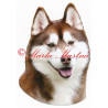 Samolepka sibiřský husky