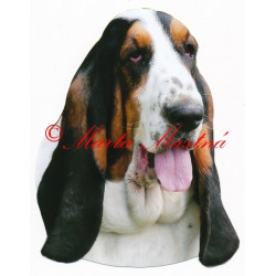 Samolepka baset anglický