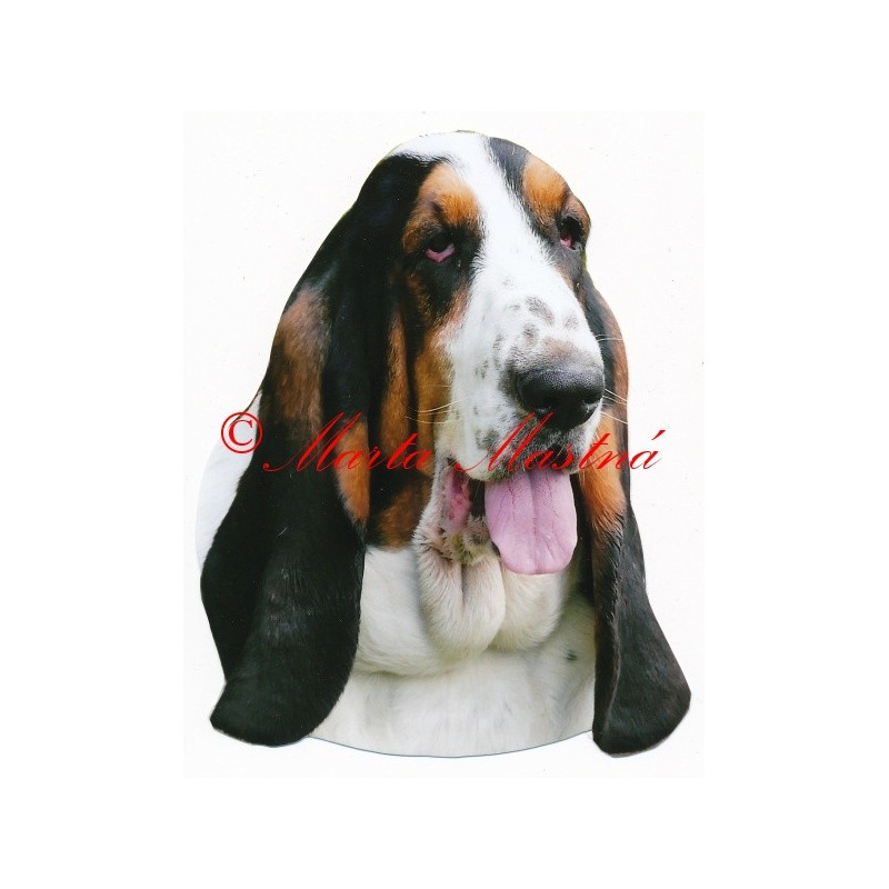 Samolepka baset anglický