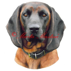 Samolepka barvář bavorský