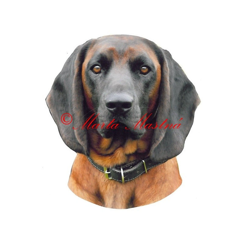 Samolepka barvář bavorský