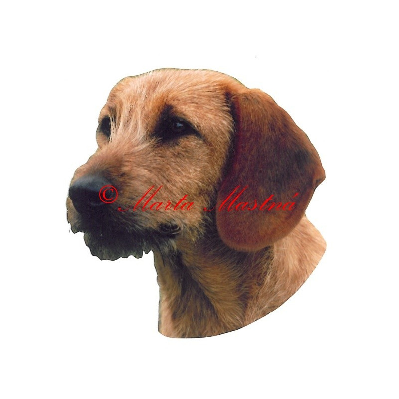 Samolepka štýrský brakýř