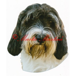 Samolepka vendéský baset