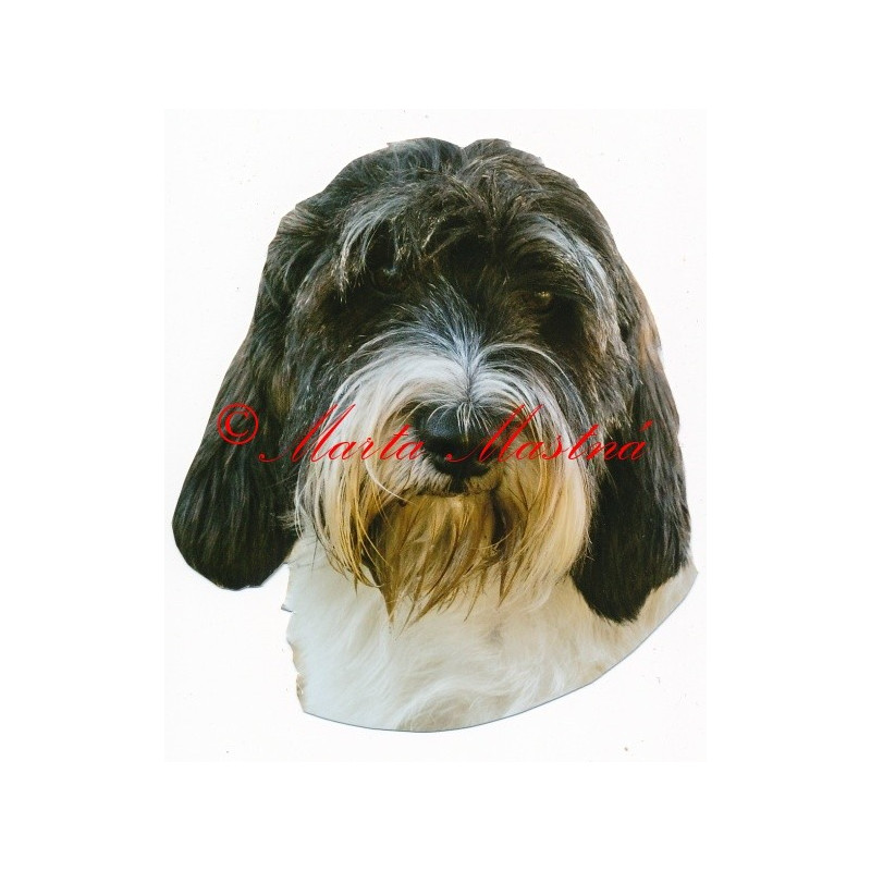 Samolepka vendéský baset