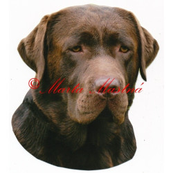 Samolepka labradorský retrívr