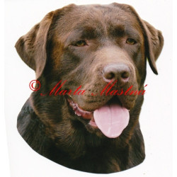 Samolepka labradorský retrívr