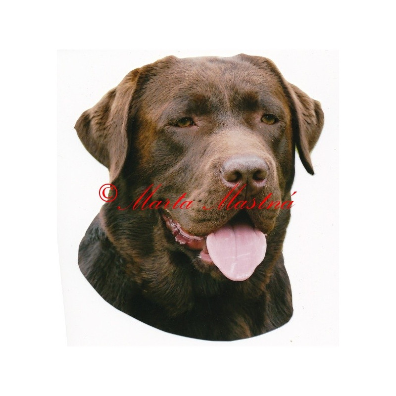 Samolepka labradorský retrívr