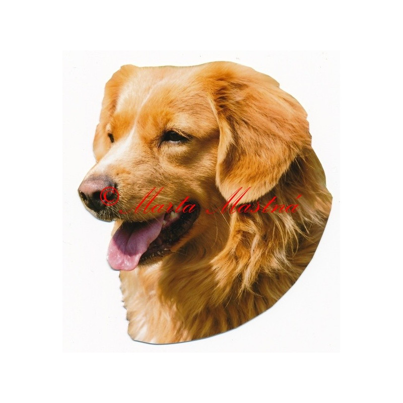 Samolepka nova scotia duck tolling retriever, kanadský retrívr, toller