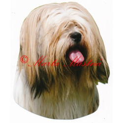 Samolepka lhasa apso