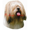 Samolepka lhasa apso