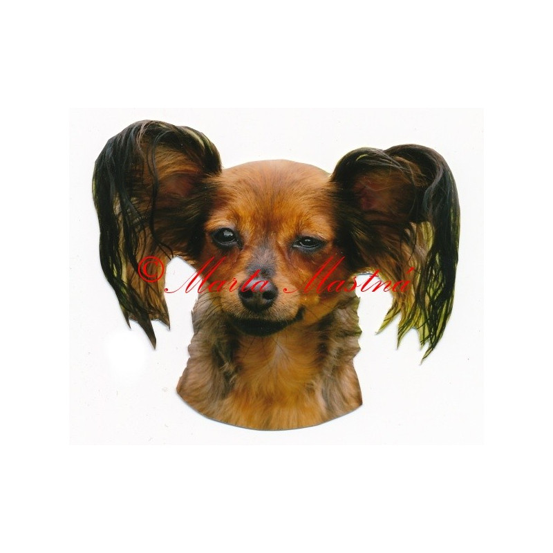 Samolepka ruský toy