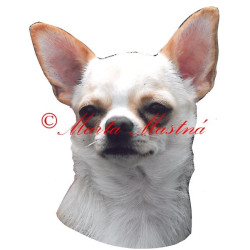 Samolepka čivava krátkosrstá