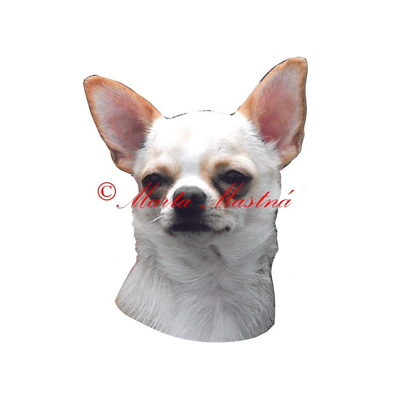 Samolepka čivava krátkosrstá