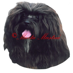 Samolepka ruská bolonka, barevný boloňský psík