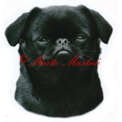 Samolepka brabantík, brabantský grifonek