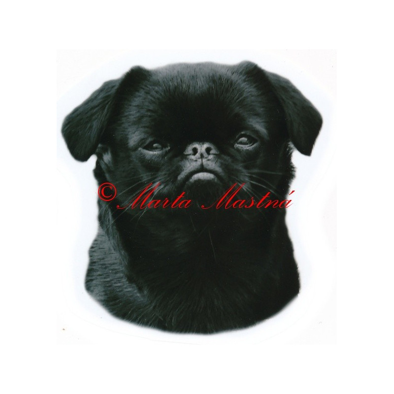 Samolepka brabantík, brabantský grifonek