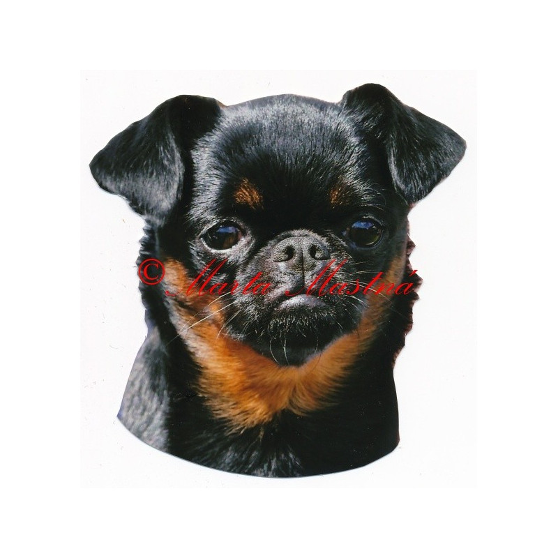 Samolepka brabantík, brabantský grifonek