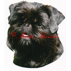 Samolepka grifonek belgický