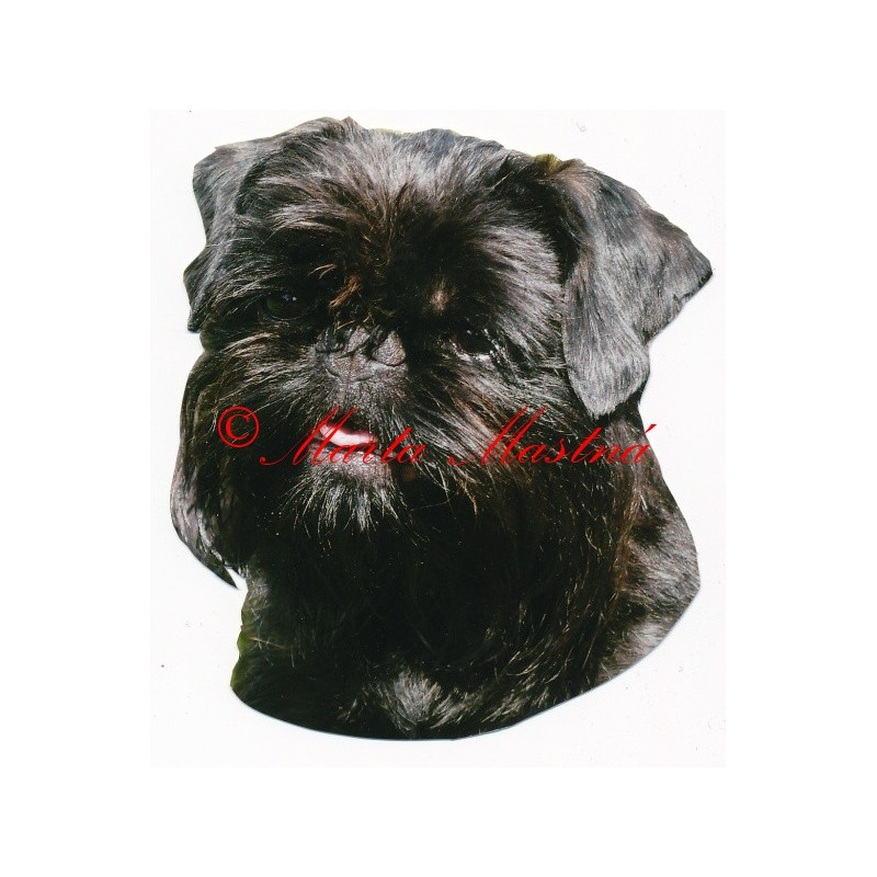 Samolepka grifonek belgický