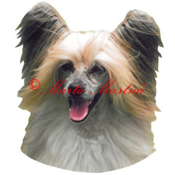 Samolepka čínský chocholatý pes - labutěnka