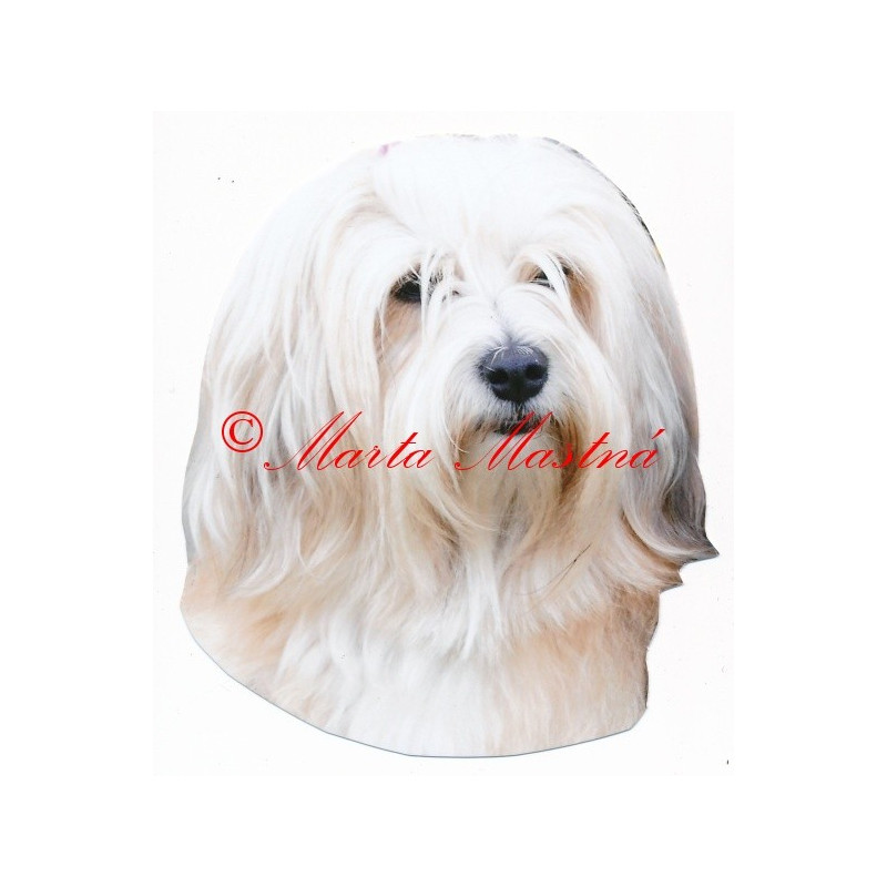 Samolepka havanský psík