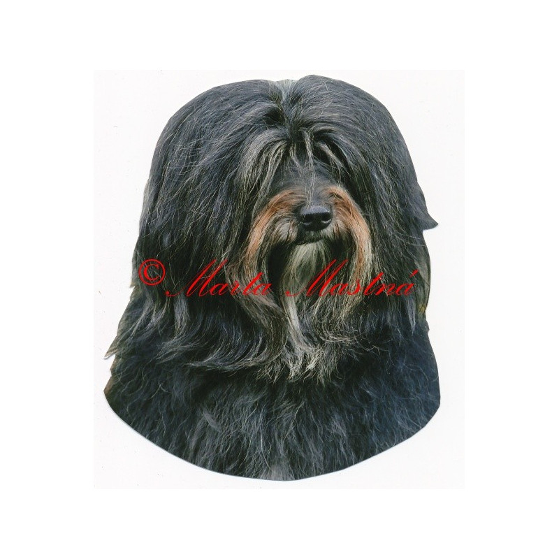 Samolepka havanský psík