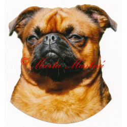 Samolepka brabantík, brabantský grifonek