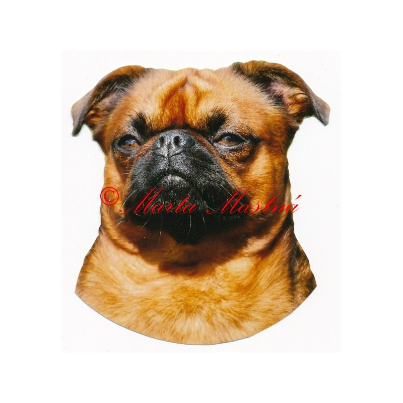 Samolepka brabantík, brabantský grifonek