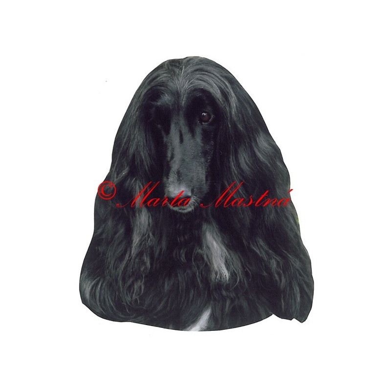 Samolepka afghánský chrt