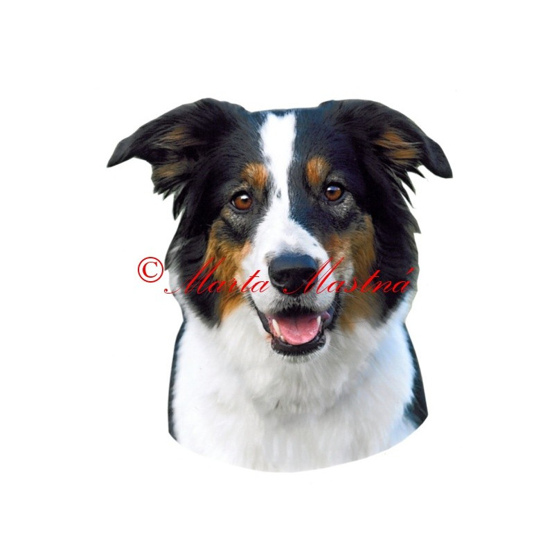 Samolepka border kolie archiv