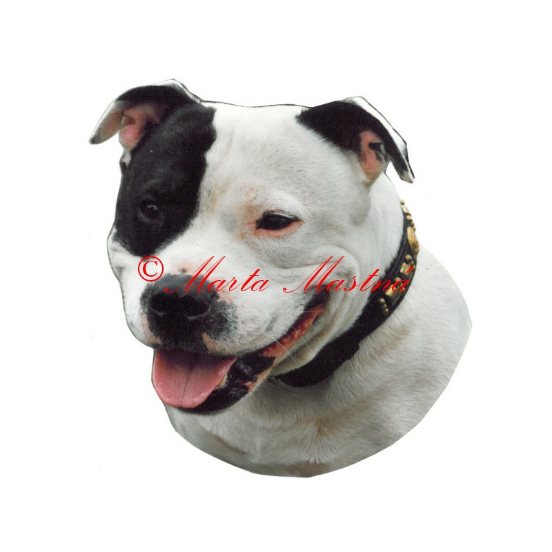 Samolepka stafordšírský bulteriér archiv