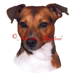Samolepka Parson Jack Russel teriér archiv