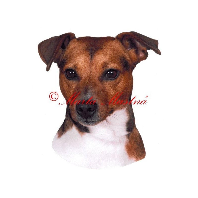 Samolepka Parson Jack Russel teriér archiv