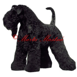 Samolepka kerry blue teriér archiv