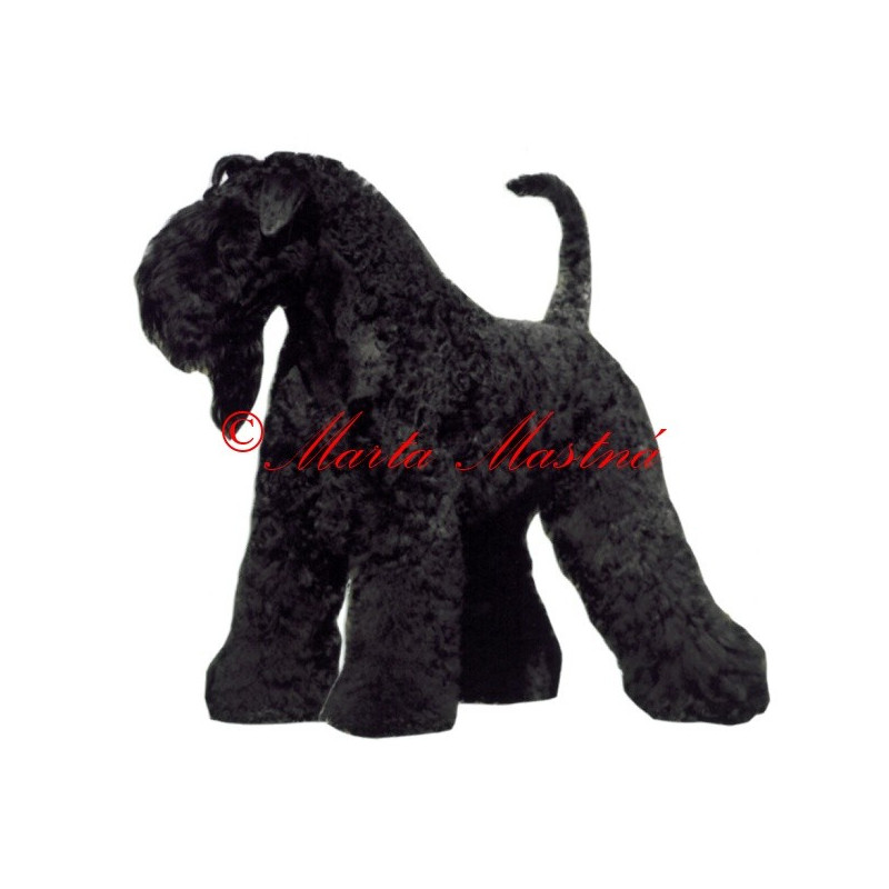 Samolepka kerry blue teriér archiv