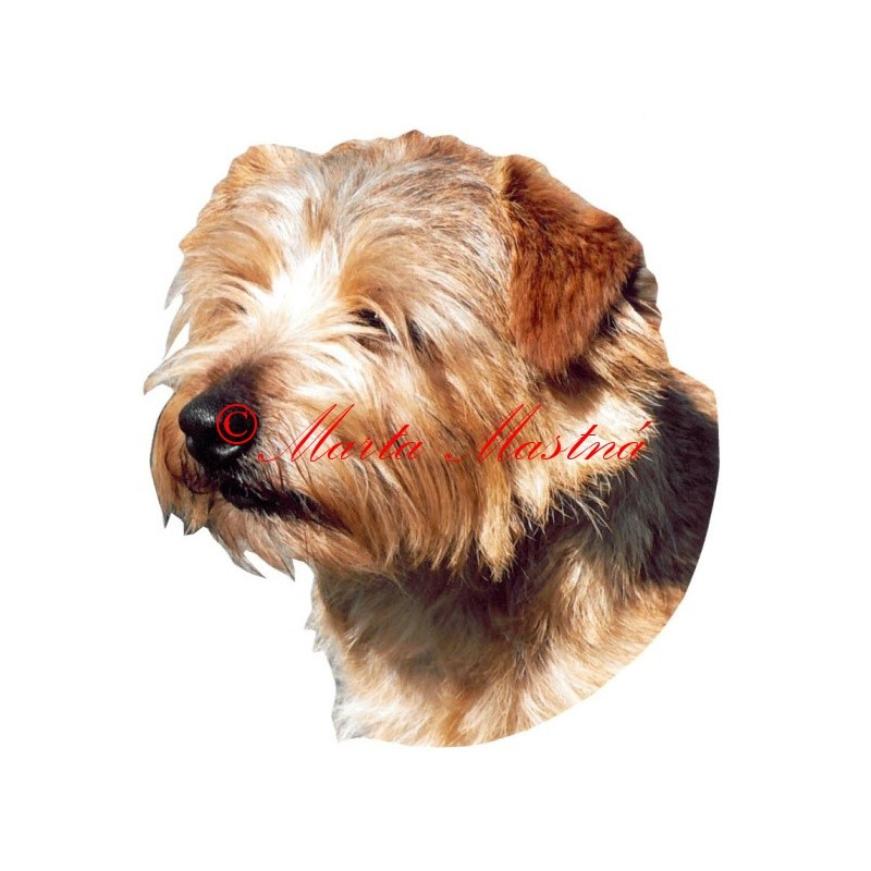 Samolepka norfolk teriér archiv